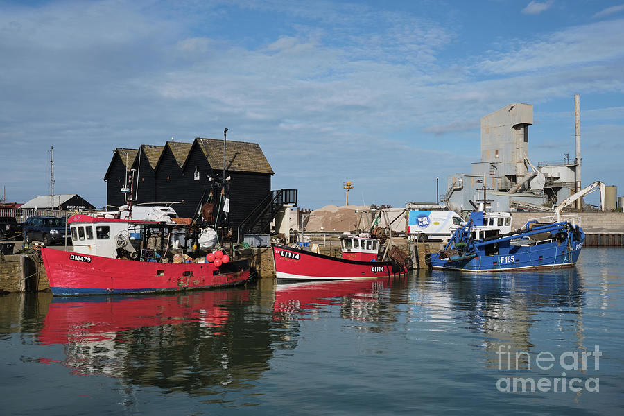 Whitstable Harbour Photograph by Neil Maclachlan