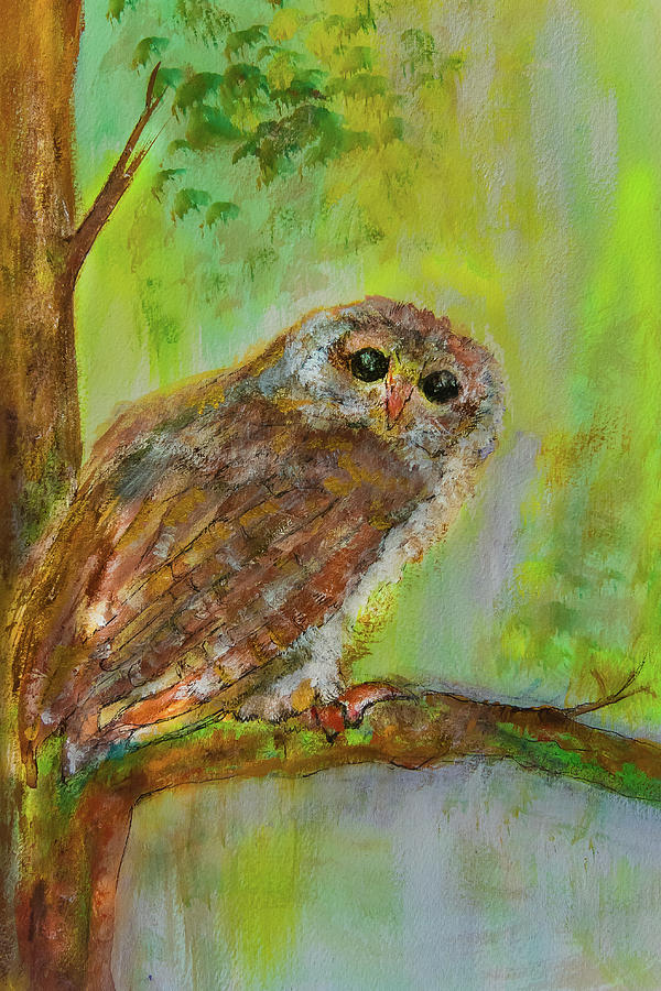 Who gives a hoot Mixed Media by Patricia Dennis