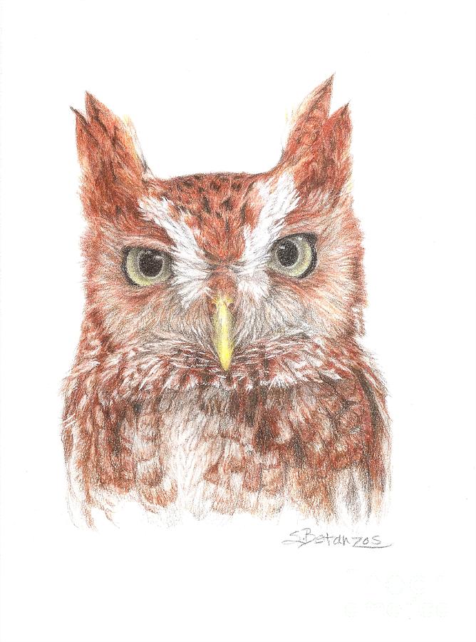 Screech Owl Painting - Who, Me?? by Sue Betanzos