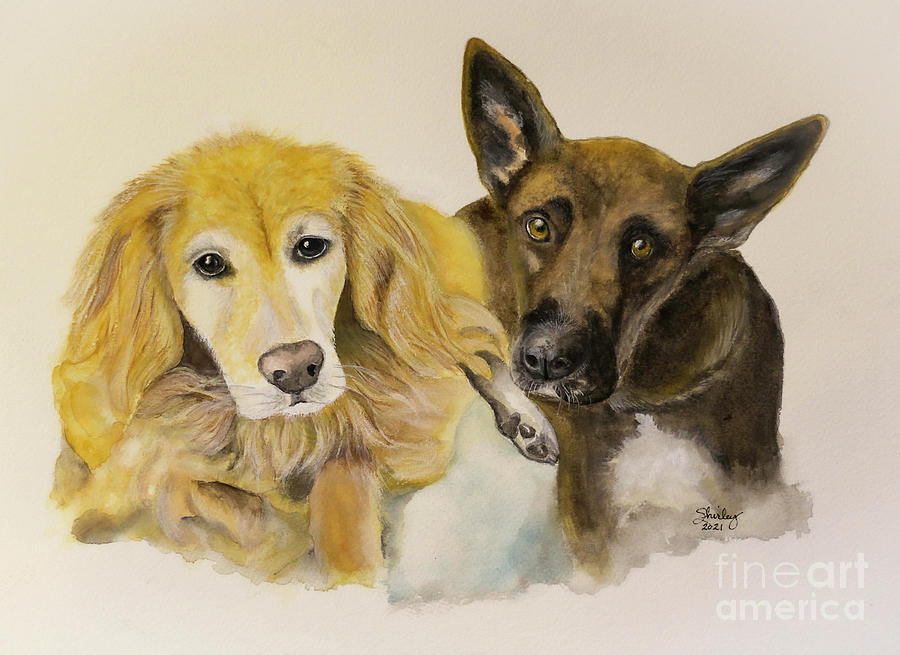Who Rescued Who? Painting by Shirley Dutchkowski