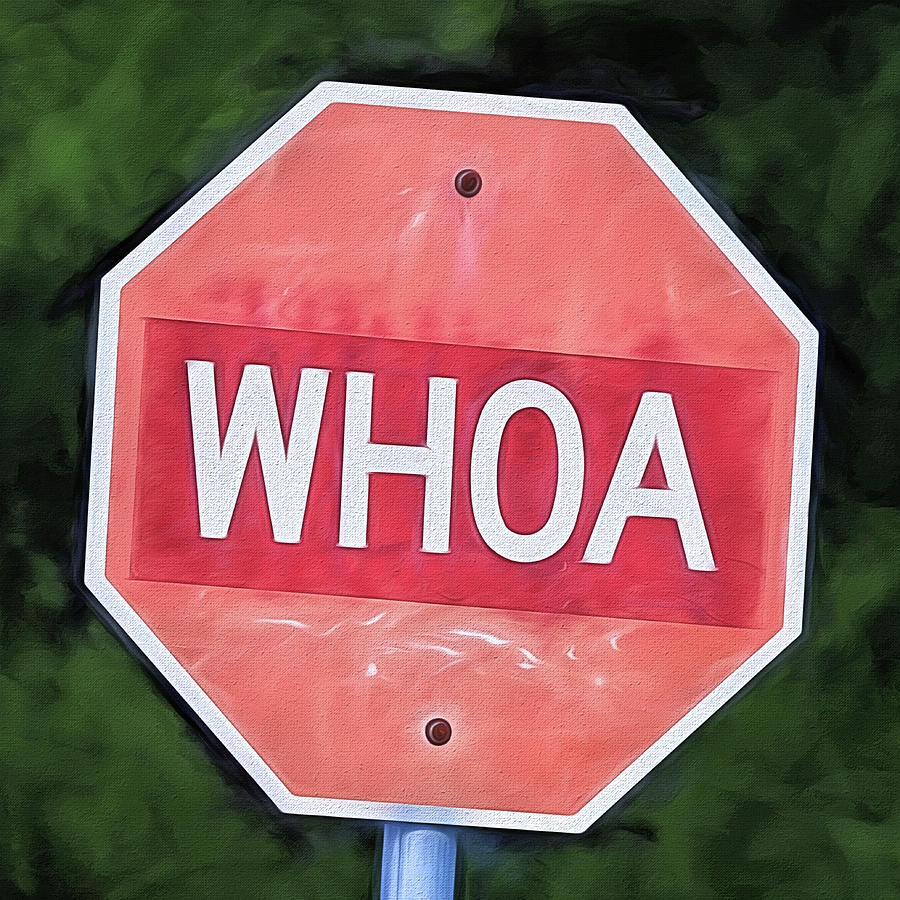 Whoa Stop Sign Digital Art by JC Findley