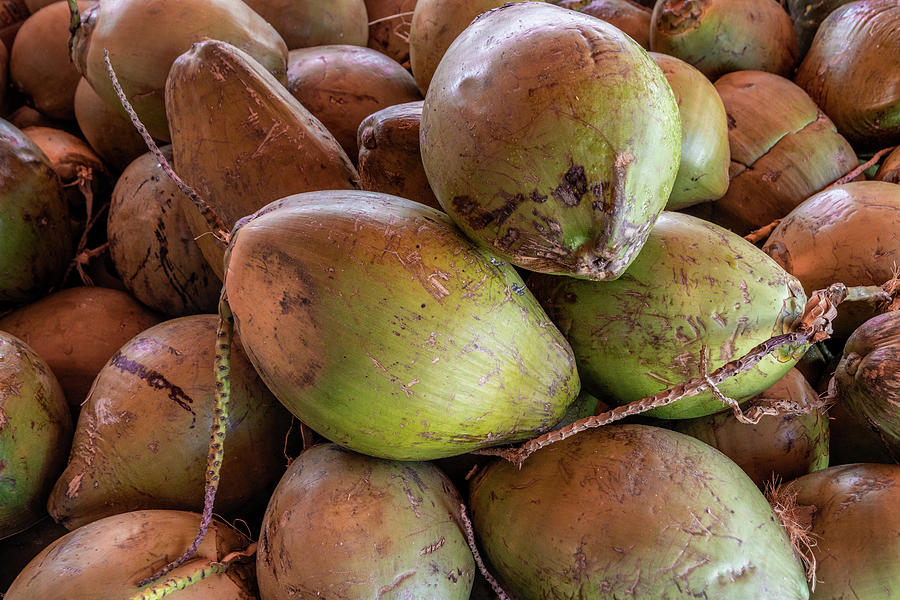Whole Coconuts at Market Photograph by Bradford Martin