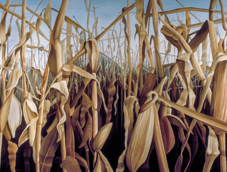 Whole Field Yields Painting by Steve Bendykowski