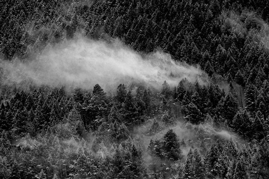 Whoosh of Snow Black and White Photograph by David Andersen