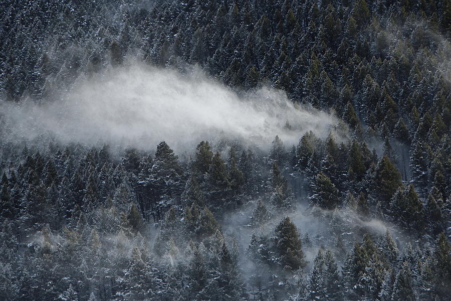 Whoosh of Snow  Photograph by David Andersen