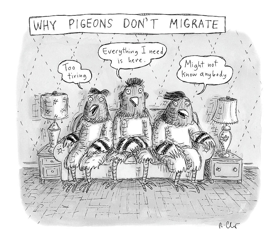 Why Pigeons Dont Migrate Drawing by Roz Chast