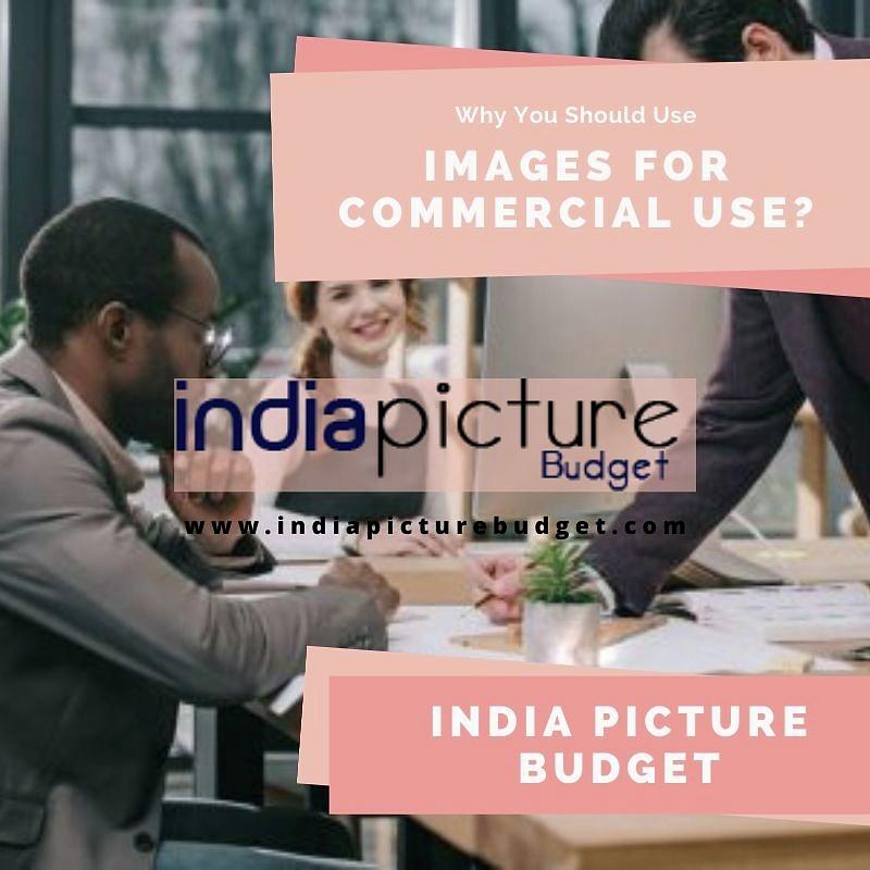 why-you-should-use-images-for-commercial-use-photograph-by-india-picture