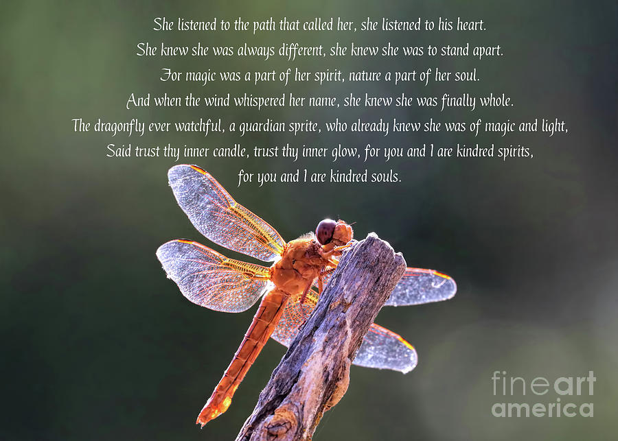 Wicca Inspired Dragonfly Kindred Soul Poem Photograph by Stephanie Laird