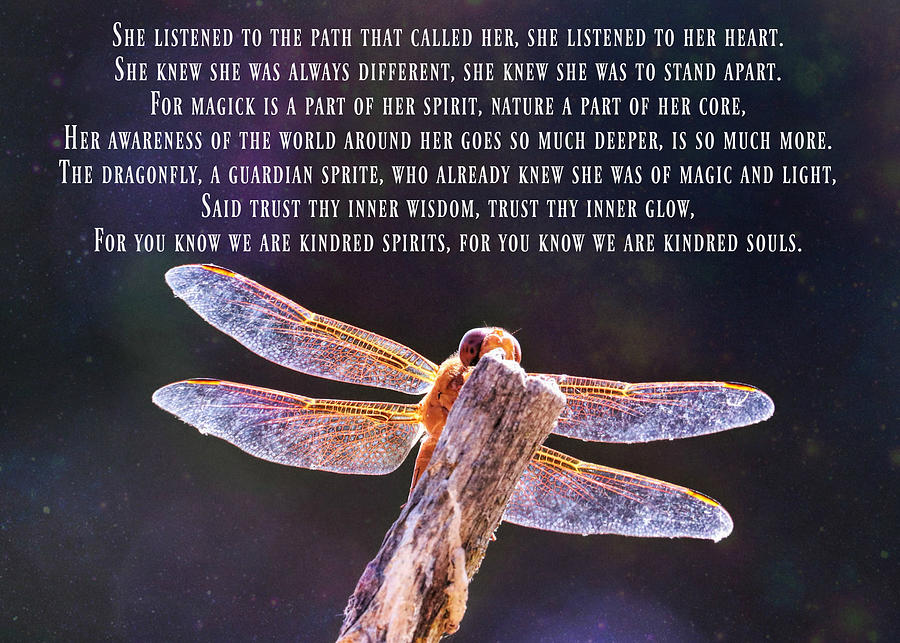 Wicca Pagan Dragonfly Kindred Spirit Blessing Poem Photograph by ...