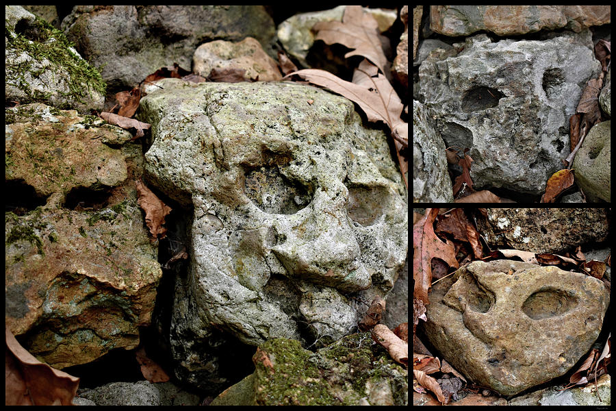 Wichahpi Wall Face Collage Photograph by Kathy K McClellan