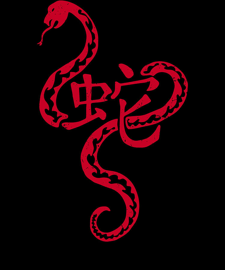 Wicked Serpent  Chinese Snake Design  in Japan Red Hanzi 