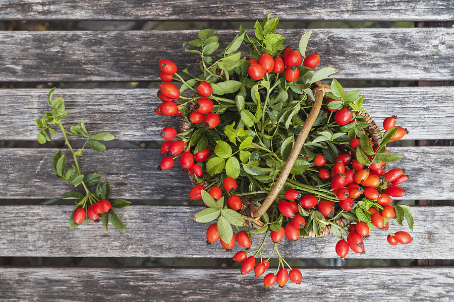 Wickerbasket of rosehips on wood Photograph by Westend61