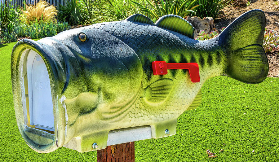 Wide Mouth Bass Mailbox  Photograph by Linda Brody