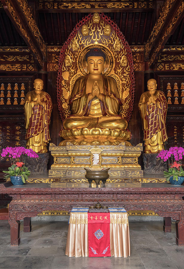 Wide shot of Buddha at Big Wild Goose Pagoda in Xian Photograph by Steven Heap