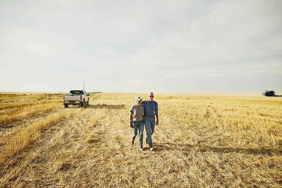 Wide shot of smiling embracing farm couple walking through cut wheat field during summer harvest Photograph by Thomas Barwick