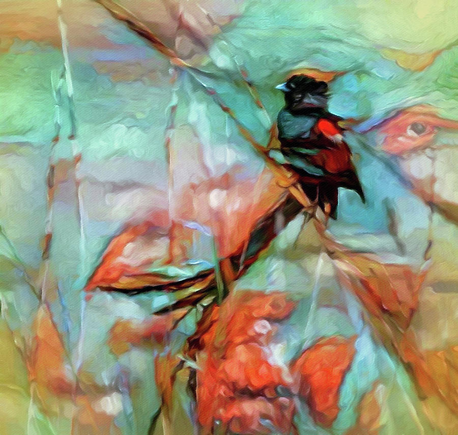 Widowbird in the Reeds Painting by Susan Maxwell Schmidt