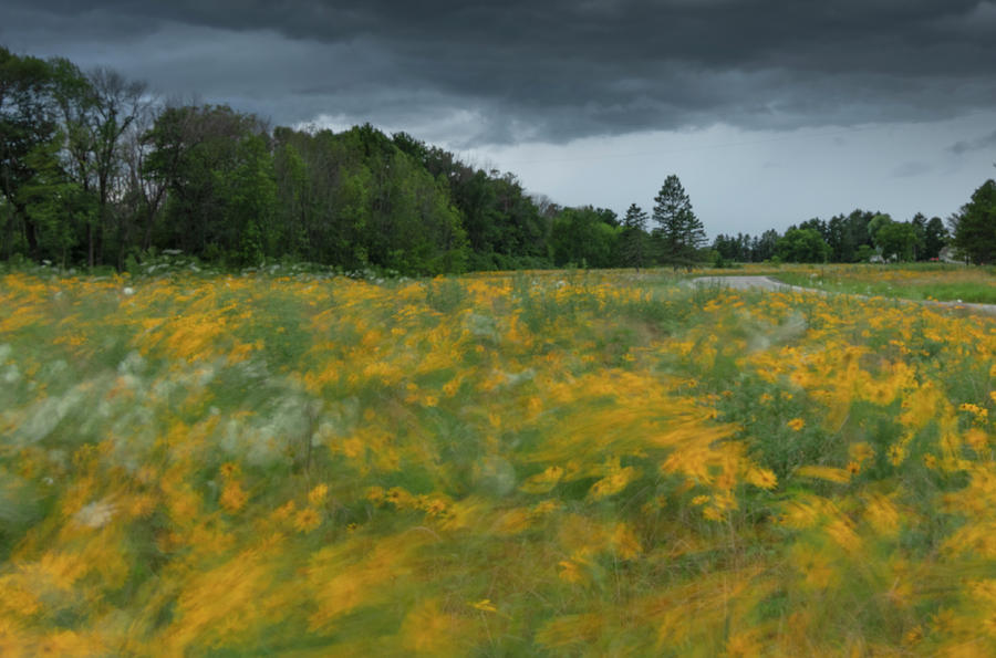 Wild And Windy Photograph by Butch Fine Art America