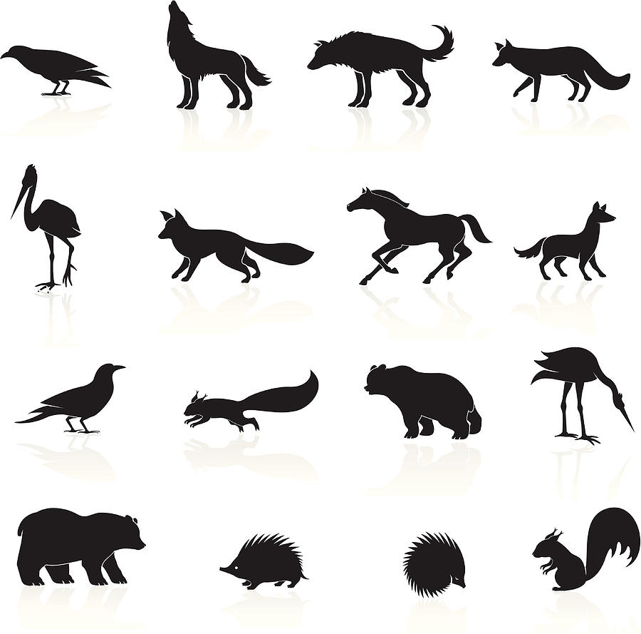 Wild Animals Icon Drawing by Vectorig