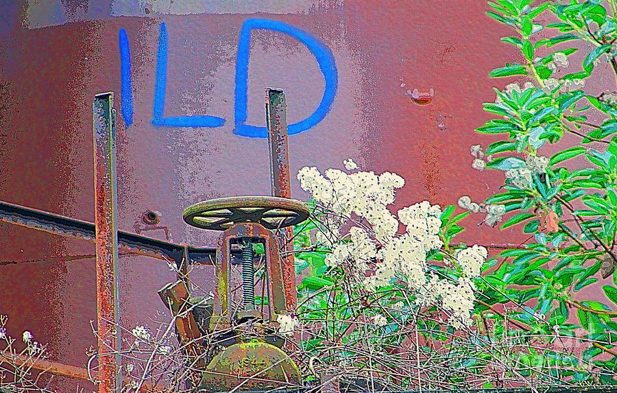 Growing wILD at Gas Works Park Photograph by Sea Change Vibes