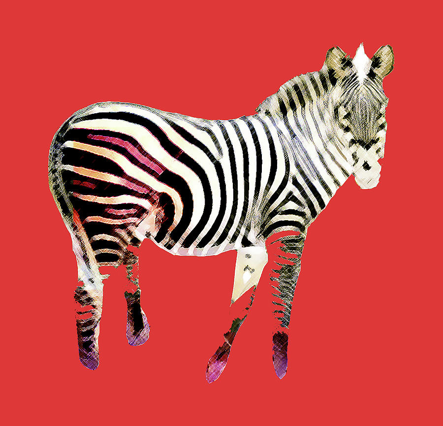 Zebra Digital Art - Wild At Heart  by Cristina Leon