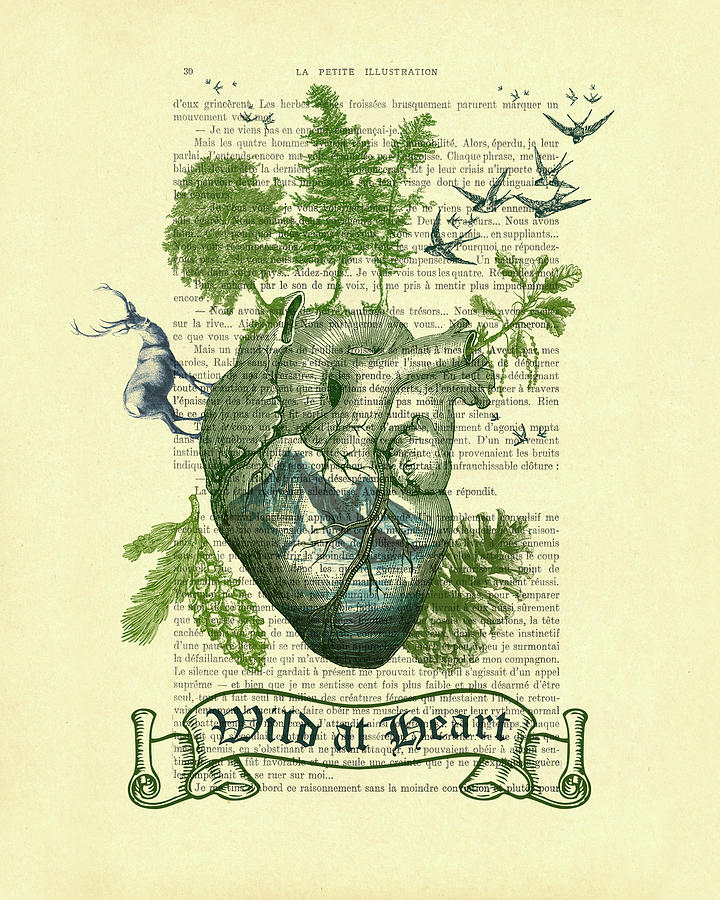Nature Digital Art - Wild at heart, woodland human heart artwork by Madame Memento