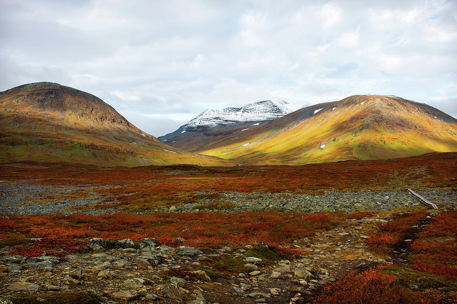 Wild autumn colours in Swedish Lapland Photograph by Alena Vishina ...