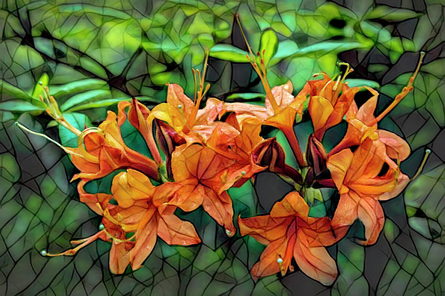 Wild Azaleas Stained Glass Abstract Photograph by Debra and Dave Vanderlaan