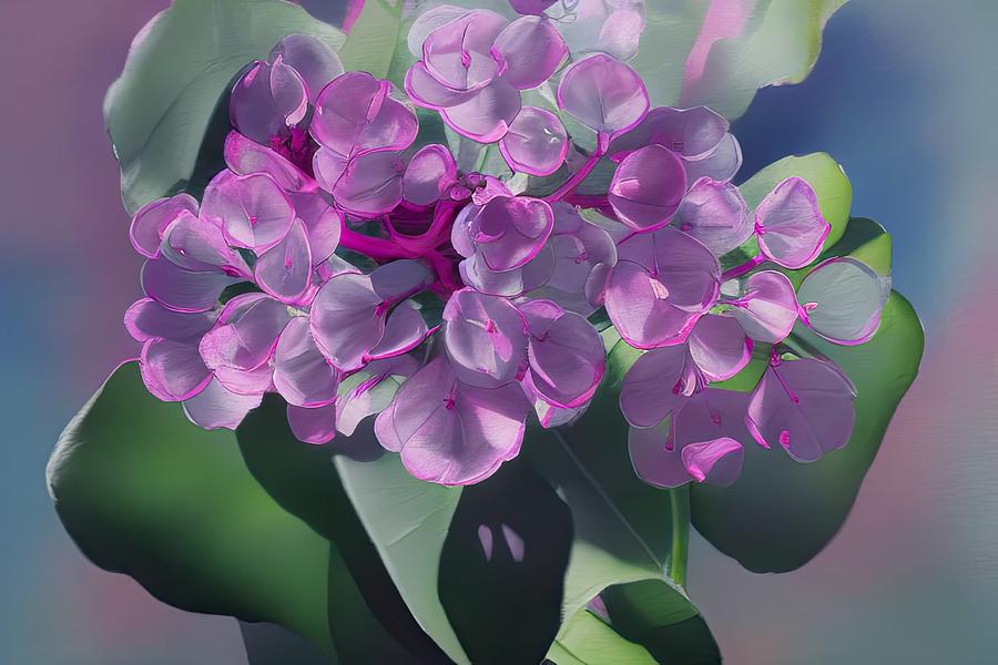 Wild Bergenia Digital Art by Sterling and Thorn Wild Bergenia Digital Art by Sterling and Thorn