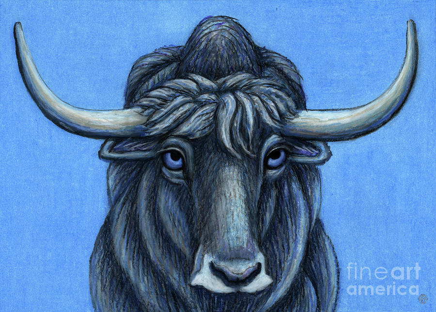 Wild Blue Yak  Painting by Amy E Fraser