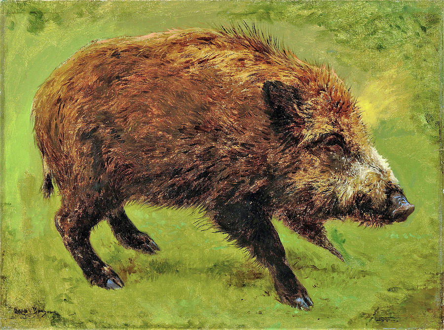 Rosa Bonheur Painting - Wild boar - Digital Remastered Edition by Rosa Bonheur