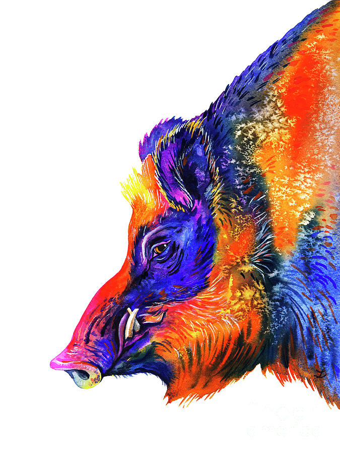 Wild Boar Painting by Zaira Dzhaubaeva