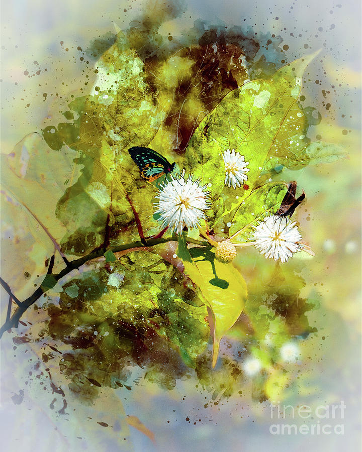 Yellowstone National Park Digital Art - Wild Butterflies by Anthony Ellis