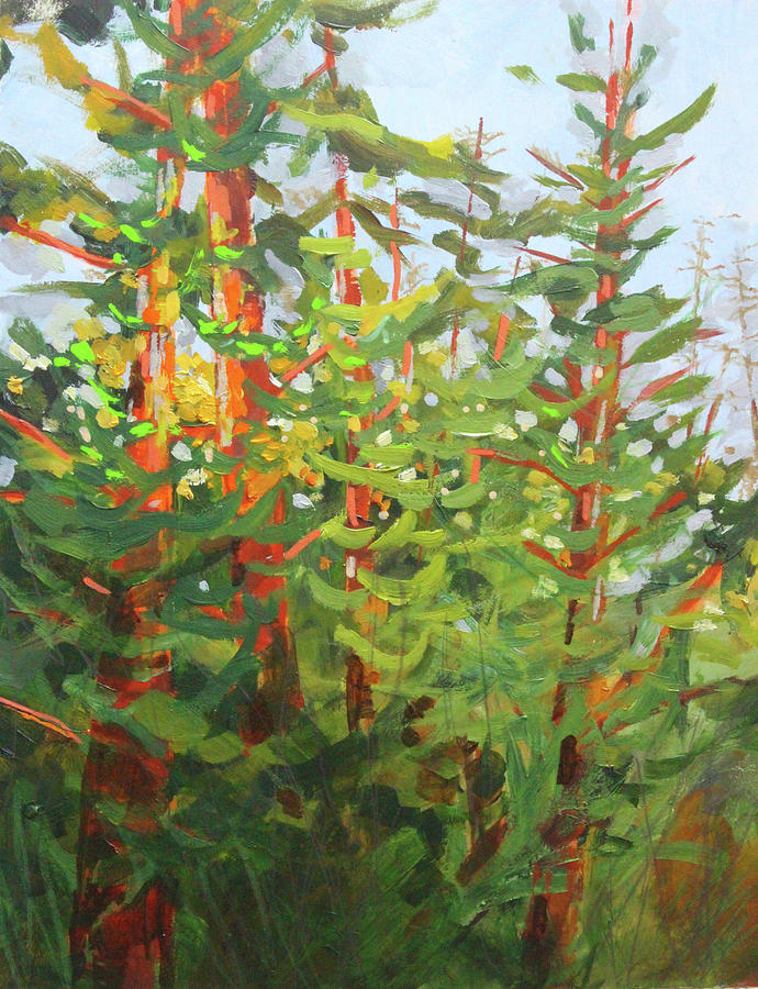 Wild Cedar Painting by Nancy Merkle