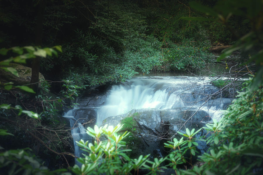 Wild Creek Falls Through the Trees Photograph by Jason Fink