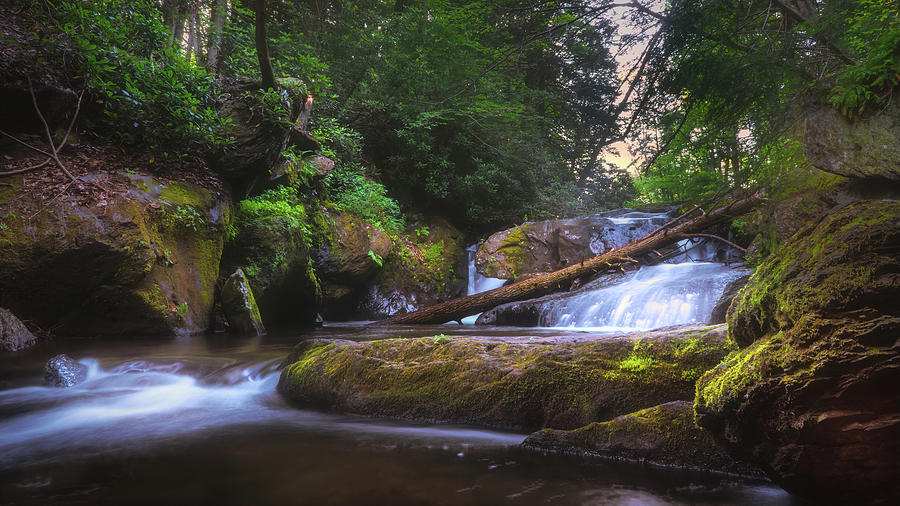 Wild Creek Falls River Side Photograph by Jason Fink