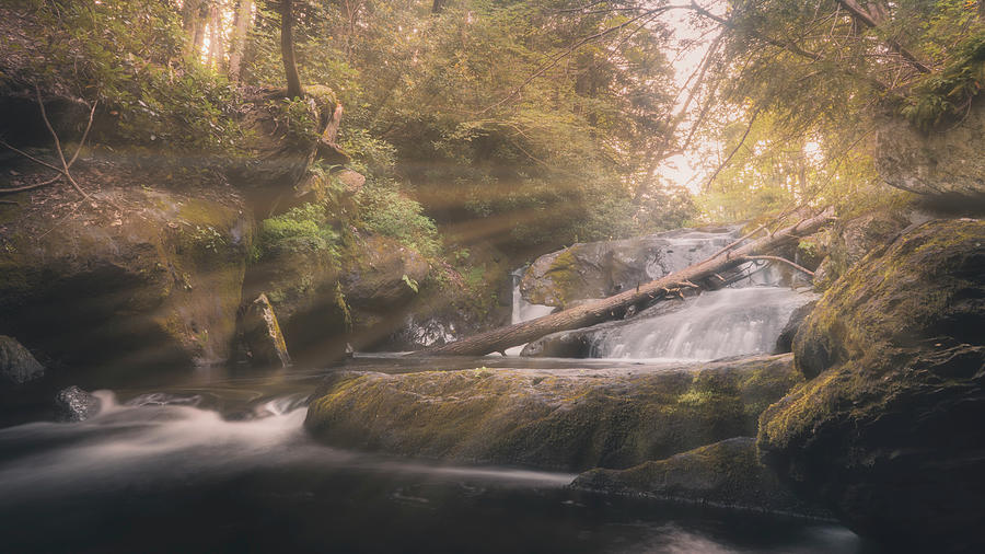 Wild Creek Falls - Sun Covered Photograph by Jason Fink