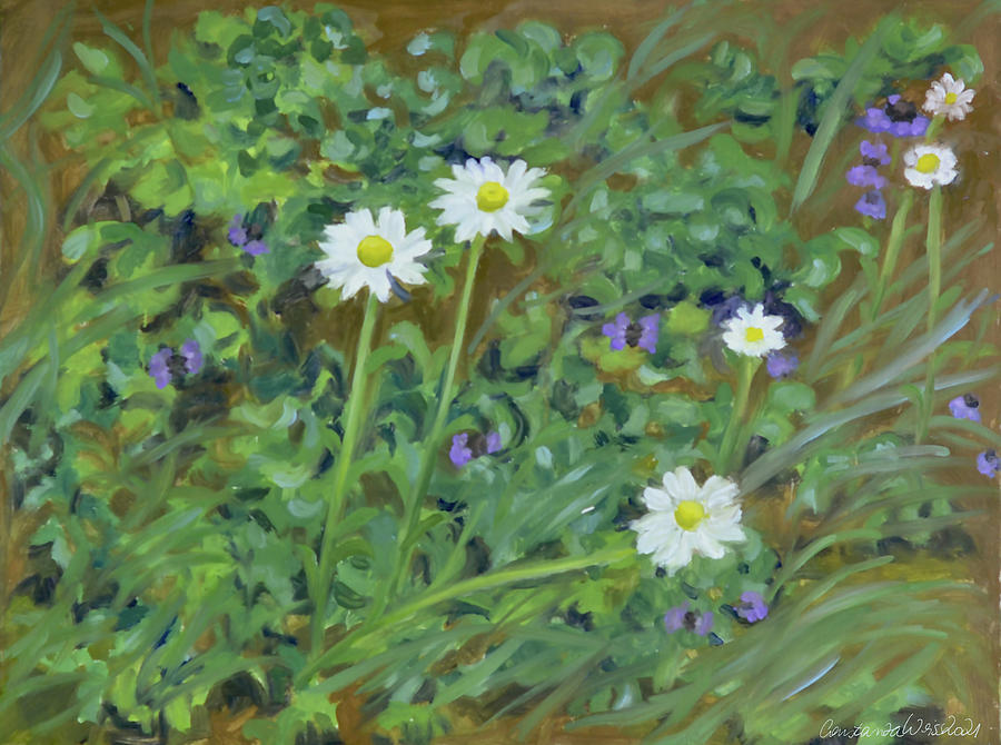 Wild daisies Painting by Constanza Weiss