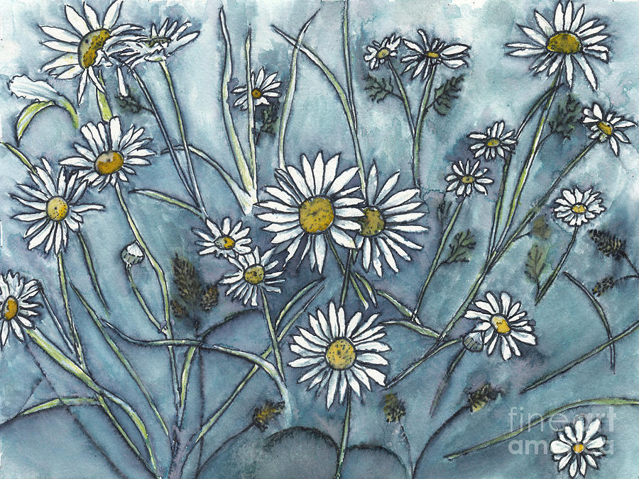Wild Daisies in Ink and Watercolor Mixed Media by Conni Schaftenaar