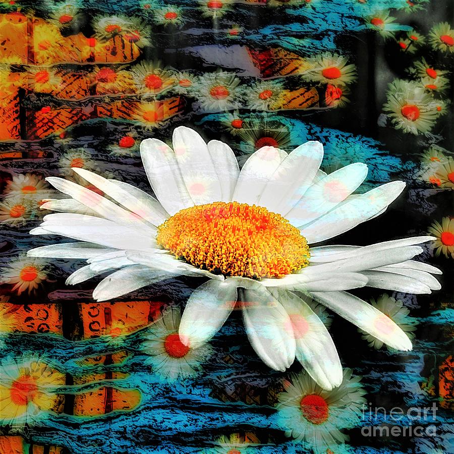 Wild Daisies Painting by Jacqueline McReynolds