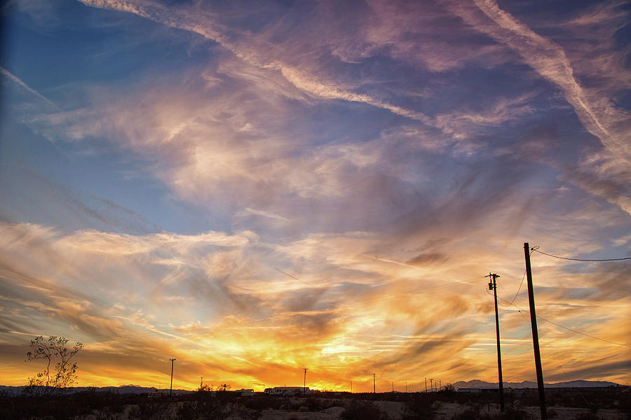 Wild desert sunset Photograph by Kunal Mehra