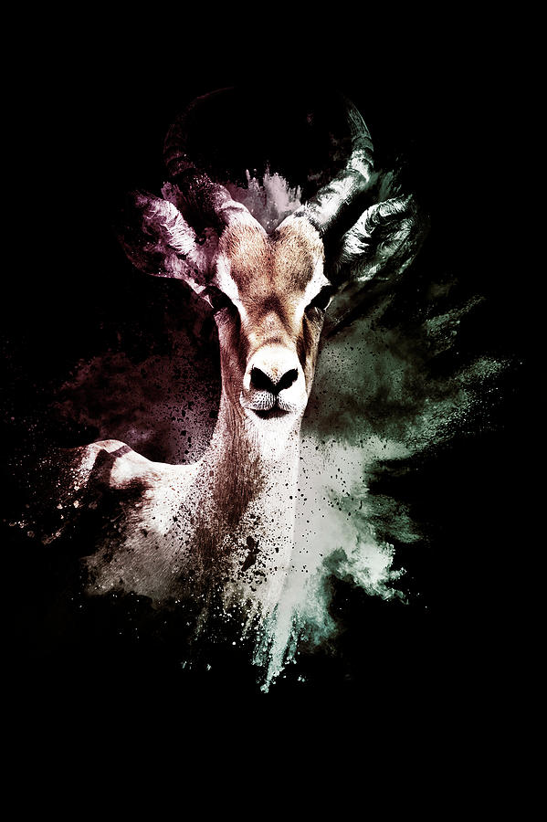 Wild Explosion Collection - The Antelope Mixed Media by Philippe HUGONNARD