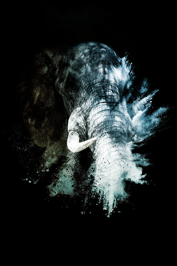 Wild Explosion Collection - The Elephant II by Philippe HUGONNARD