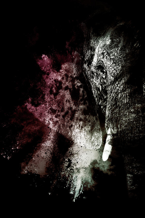 Wild Explosion Collection - The Elephant Mixed Media by Philippe HUGONNARD