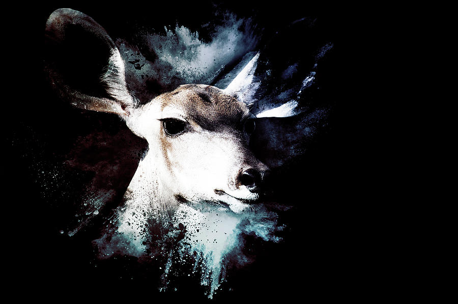 Wild Explosion Collection - The Impala II Mixed Media by Philippe HUGONNARD