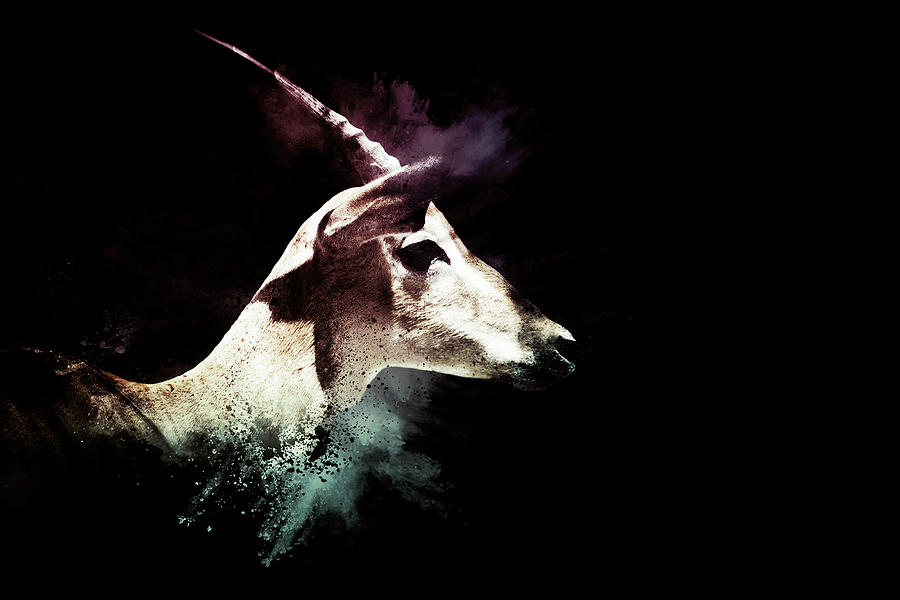 Wild Explosion Collection - The Impala Mixed Media by Philippe HUGONNARD