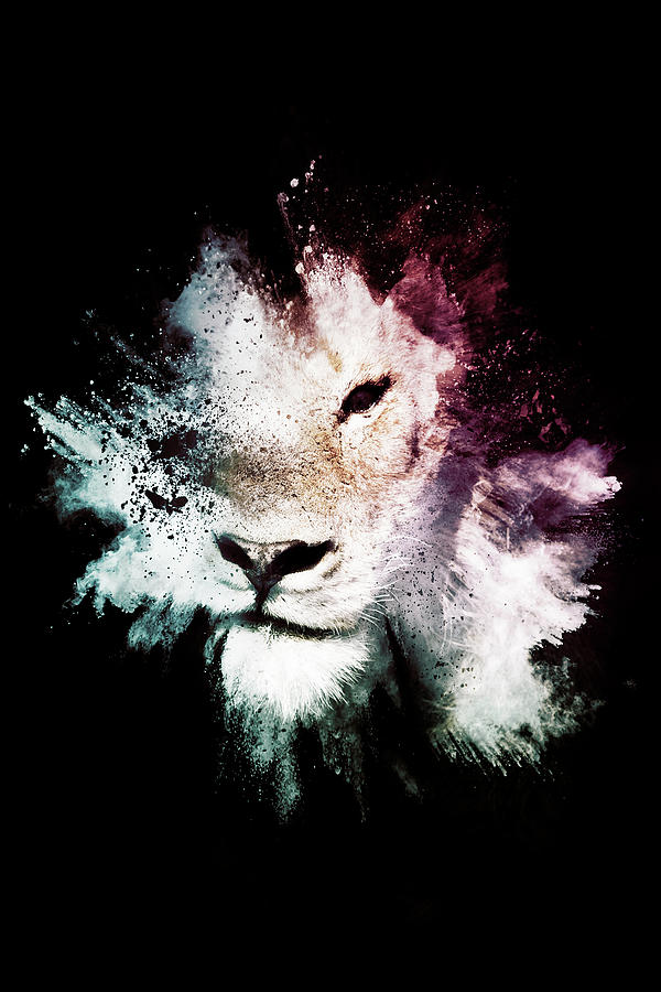 Wild Explosion Collection - The Lion Mixed Media by Philippe HUGONNARD