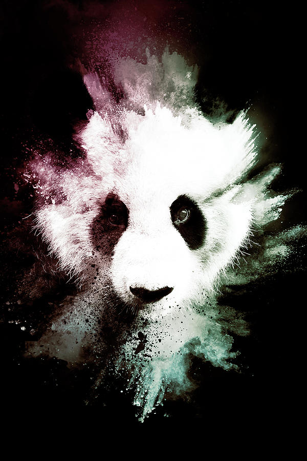 Wild Explosion Collection - The Panda Mixed Media by Philippe HUGONNARD
