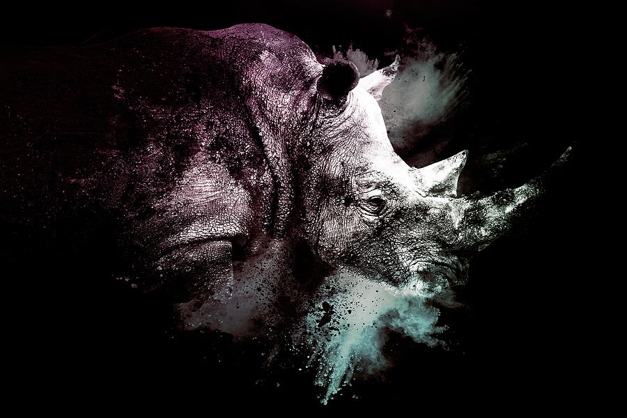 Wild Explosion Collection - The Rhino Mixed Media by Philippe HUGONNARD
