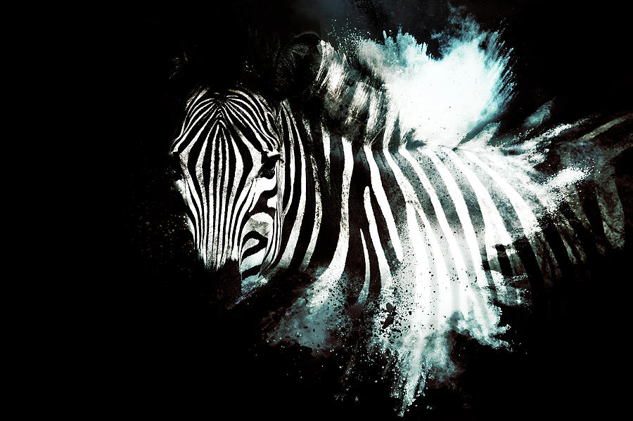 Wild Explosion Collection - The Zebra II Mixed Media by Philippe HUGONNARD