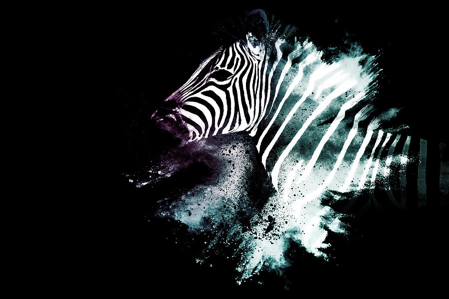 Wild Explosion Collection - The Zebra Mixed Media by Philippe HUGONNARD